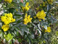 IMG_20240320_165024.webp