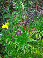 IMG_20240320_164337.jpg