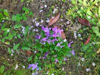 IMG_20240320_164448.jpg