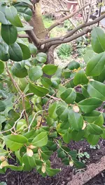 20240320_141107.webp