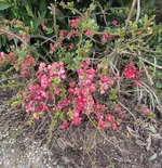 1710941040194.webp