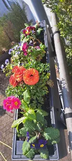 20240321_111938.webp