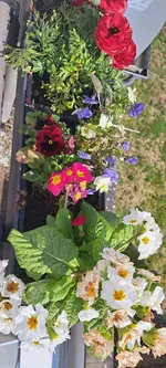 20240321_111846.webp