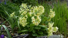 P1440001.webp