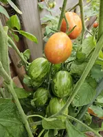 20230730_163940.webp