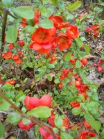DSC07721.webp