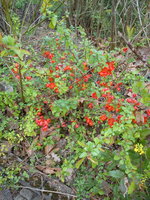 DSC07722.jpg