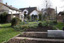 Gemüsegarten 0324.JPG