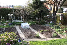Gemüsegarten 0424.JPG