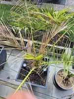 20240323_122300.webp