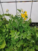 IMG_20240323_163738.jpg