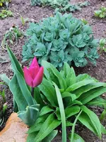 IMG_20240323_171444 (1).webp