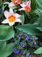 IMG_20240323_171503.jpg