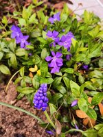 IMG_20240323_171554.jpg