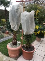 IMG_0416.JPG