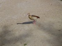 IMG_20240324_143104.jpg