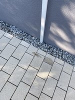 IMG_1550.jpeg