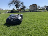 IMG_6321.jpeg