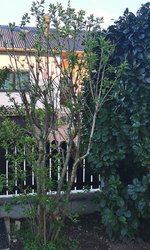 IMG_20240325_172814.jpg