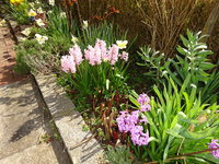 DSC03323.JPG