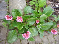 DSC03322.JPG