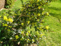 DSC03326.JPG