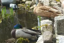 P1440132.webp P1440132.webp