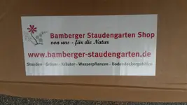Stauden.webp