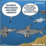 Hai.webp