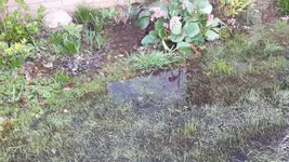 Wasser.webp