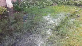 Wasser1.webp