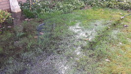 Wasser1.jpg