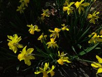 IMG_20240324_141929.jpg