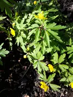 20240326_104427.webp