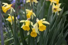März    4424.webp