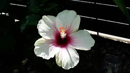 20170709_115218.webp