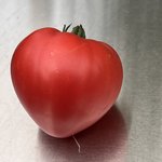 IMG_6812.jpeg