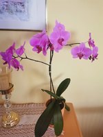 IMG_20240324_115914.jpg