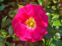 20240327_192821.webp
