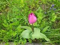 IMG_20240327_122035.jpg