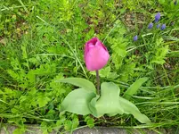 IMG_20240327_122035.jpg