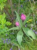 IMG_20240327_122048.jpg
