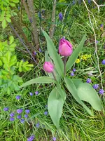 IMG_20240327_122048.jpg