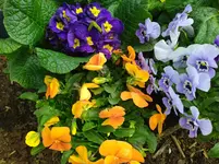 IMG_20240327_122450.jpg