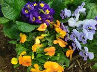 IMG_20240327_122450.jpg