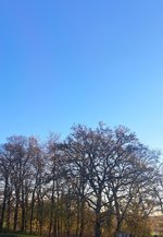 20240328_065724.jpg