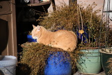 Jan .0424.JPG