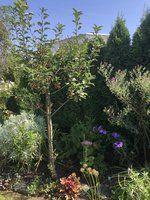 IMG_2939.jpeg