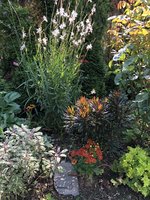IMG_2714.jpeg