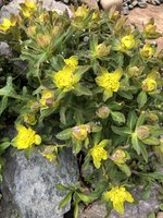 IMG_1633.jpeg